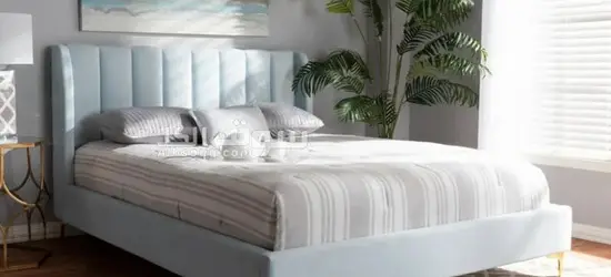 Luxe Luxurious Velvet Upholstered Bed