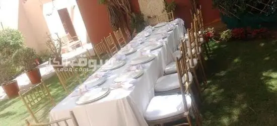 Premium Chair & Table Rental Services | UAE 🇦🇪 - 9