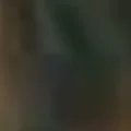 شعلان الراوي