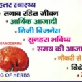 अपने मोबाइल फ़ोन से फ्रीलांस काम का मौका